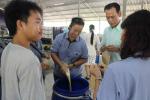 โครงการผลิตปุ๋ยน้ำชีวภาพจากขยะมูลฝอยอินทรีย์