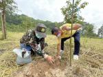 กิจกรรมวันรักต้นไม้ประจำของชาติ ตามโครงการอนุรักษ์พันธุกรรมพ